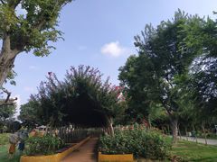 -武汉紫薇都市田园