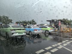 -小麦岛公园