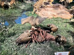 -国家自然博物馆