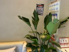 -泰合玺·精油疗愈 SPA(南京河西万达店)