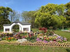 -上海共青森林公园