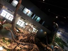 -自贡恐龙博物馆