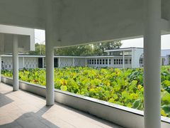 -费孝通江村纪念馆