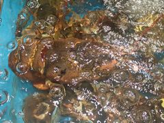 -映像威海·海鲜味道(经区店)