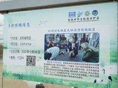 -盐城丹顶鹤湿地生态旅游区