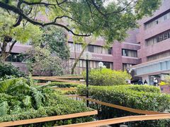 -香港大学