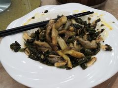 -和康·佳韵酒楼(合信路店)