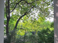 -湖北美术学院(昙华林校区)