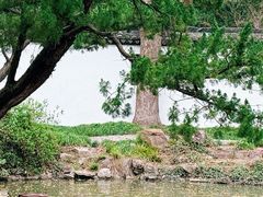 -上海醉白池公园