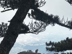 -黄山白云宾馆
