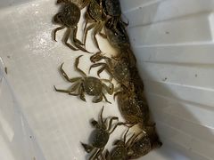 -蟹道河蟹大米商行