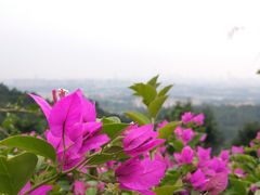 -火炉山森林公园