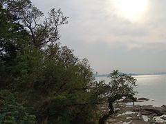 -八大关景区