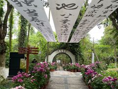 -广西壮族自治区药用植物园