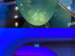 -咖啡苑(永利澳门店)