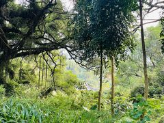 -青芝山风景名胜区