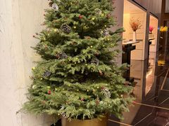 -尼依格罗香港美利酒店