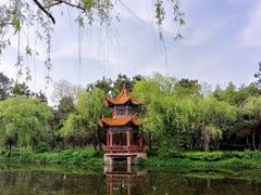 -渡海小渔村.老辈日照菜