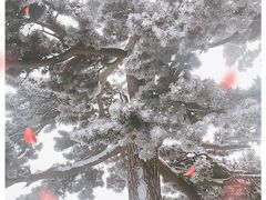 -妙峰山风景名胜区