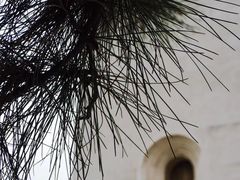 -中国艺术研究院油画院