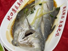 -蛇口康乐快餐鱼仔档(翠苑小区店)