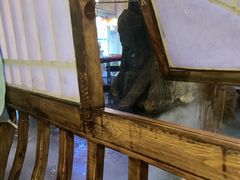 -淀里船宴(卓达店)