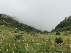 -白草畔自然风景区