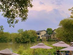 -新荣记(西溪湿地店)