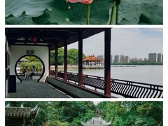 -无锡蠡湖国家湿地公园-蠡园