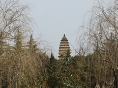 -洛阳白马寺