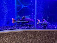 -碧涛阁水世界酒店(万家丽路店)