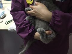 -惠康宠物医院(华能路店)