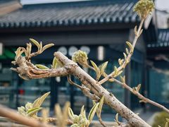 -雅达·阳羡溪山小镇中心