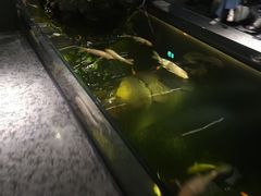 -Love Story爱情故事·养生SPA会所(星都店)