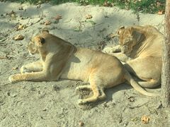 -北京野生动物园