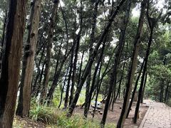 -金堂县云顶石城风景区