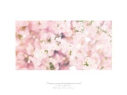 09-爱城婚纱摄影·品质严选店