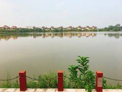 -美的鹭湖森林度假区