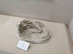 -房山世界地质公园博物馆