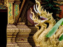 -曼听御花园
