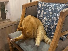 -Vanillacafe香草咖啡(银海大世界店)