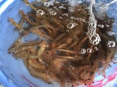 -花乐餐厅(涠洲岛店)