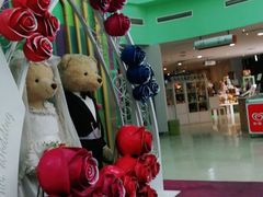 -成都泰迪熊博物馆