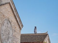 -茅山东方盐湖城景区