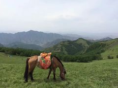 -北京灵山风景区