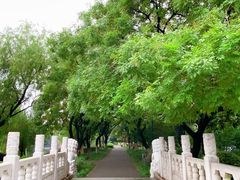 -沙市市中山公园