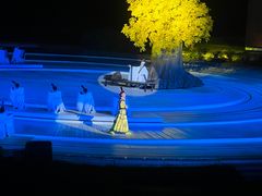 -鼎盛王朝康熙大典实景演出