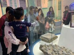 -金钉子远古世界景区