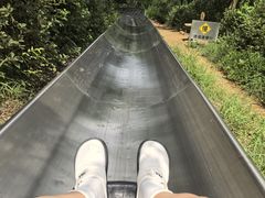 -富斯特索道