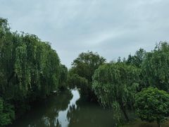 -同里国家湿地公园